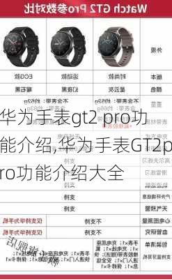 华为手表gt2 pro功能介绍,华为手表GT2pro功能介绍大全