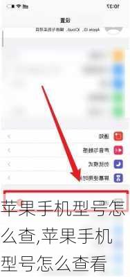 苹果手机型号怎么查,苹果手机型号怎么查看