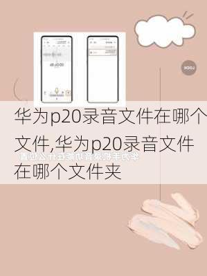 华为p20录音文件在哪个文件,华为p20录音文件在哪个文件夹