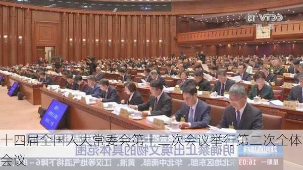 十四届全国人大常委会第十二次会议举行第二次全体会议