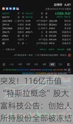 突发！116亿市值“特斯拉概念”股大富科技公告：创始人所持股份全部被冻结