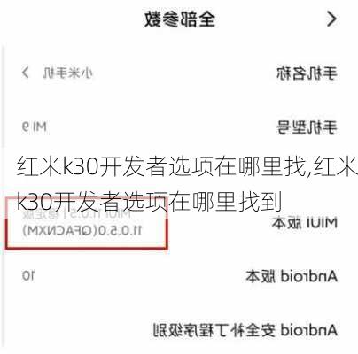 红米k30开发者选项在哪里找,红米k30开发者选项在哪里找到