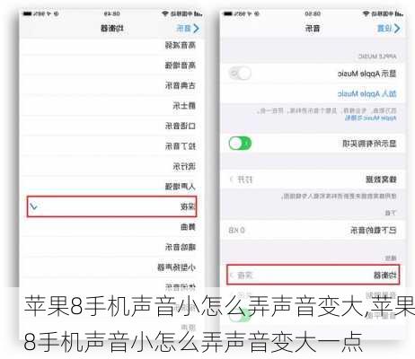 苹果8手机声音小怎么弄声音变大,苹果8手机声音小怎么弄声音变大一点