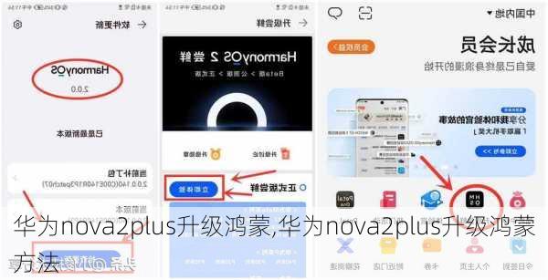 华为nova2plus升级鸿蒙,华为nova2plus升级鸿蒙方法