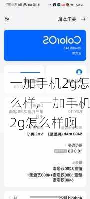 一加手机2g怎么样,一加手机2g怎么样啊