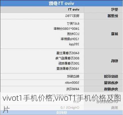 vivot1手机价格,vivoT1手机价格及图片