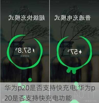 华为p20是否支持快充电,华为p20是否支持快充电功能