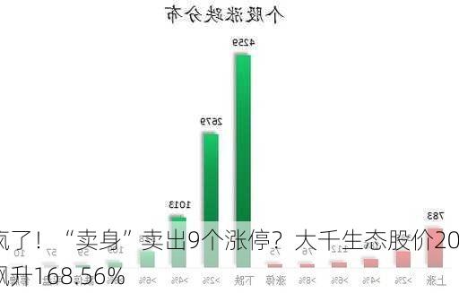 涨疯了！“卖身”卖出9个涨停？大千生态股价20日飙升168.56%