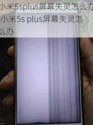 小米5splus屏幕失灵怎么办,小米5s plus屏幕失灵怎么办