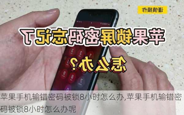 苹果手机输错密码被锁8小时怎么办,苹果手机输错密码被锁8小时怎么办呢