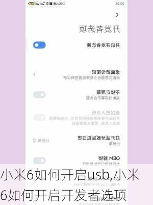 小米6如何开启usb,小米6如何开启开发者选项