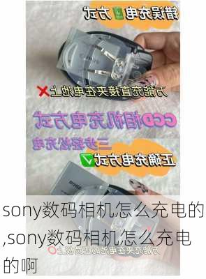 sony数码相机怎么充电的,sony数码相机怎么充电的啊