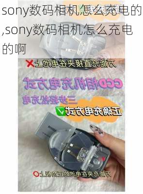 sony数码相机怎么充电的,sony数码相机怎么充电的啊