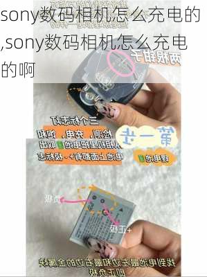 sony数码相机怎么充电的,sony数码相机怎么充电的啊