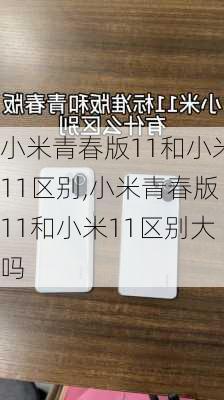 小米青春版11和小米11区别,小米青春版11和小米11区别大吗