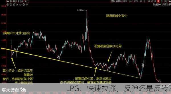 LPG：快速拉涨，反弹还是反转？