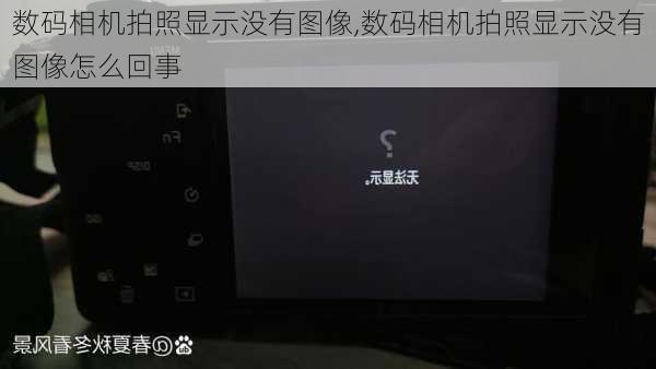 数码相机拍照显示没有图像,数码相机拍照显示没有图像怎么回事