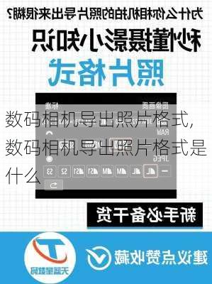 数码相机导出照片格式,数码相机导出照片格式是什么