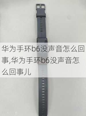 华为手环b6没声音怎么回事,华为手环b6没声音怎么回事儿