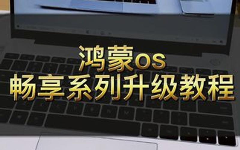 联想平板刷鸿蒙os教程,联想平板刷鸿蒙os教程视频