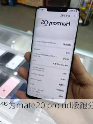 华为mate20 pro ud版跑分,