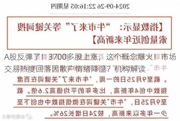 A股反弹了！3700多股上涨，这个概念爆火！市场交易热度回落因散户情绪降温？机构解读