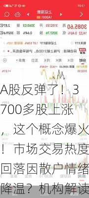 A股反弹了！3700多股上涨，这个概念爆火！市场交易热度回落因散户情绪降温？机构解读