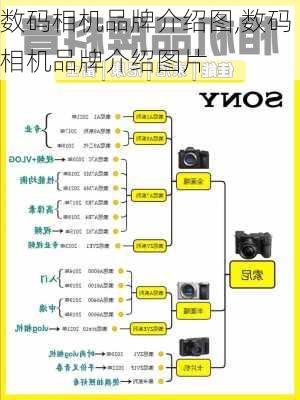 数码相机品牌介绍图,数码相机品牌介绍图片