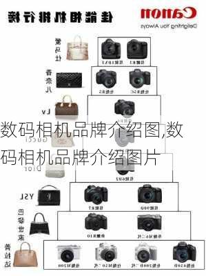 数码相机品牌介绍图,数码相机品牌介绍图片